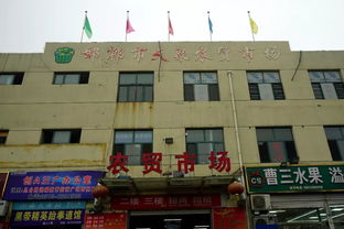 江门区政府主要领导冒雨调研检查全区商贸企业“双节”供应及安全生产工作