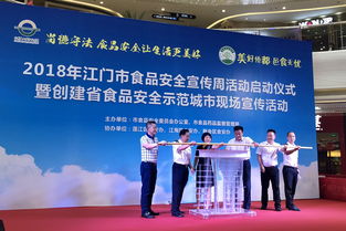 江门新会区人民政府推动商贸发展，助力区域经济腾飞